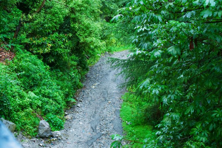 Nature trail near Blue Heaven Dalhousie