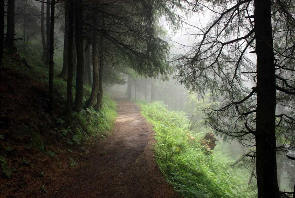 Kalatop Wildlife Sanctuary